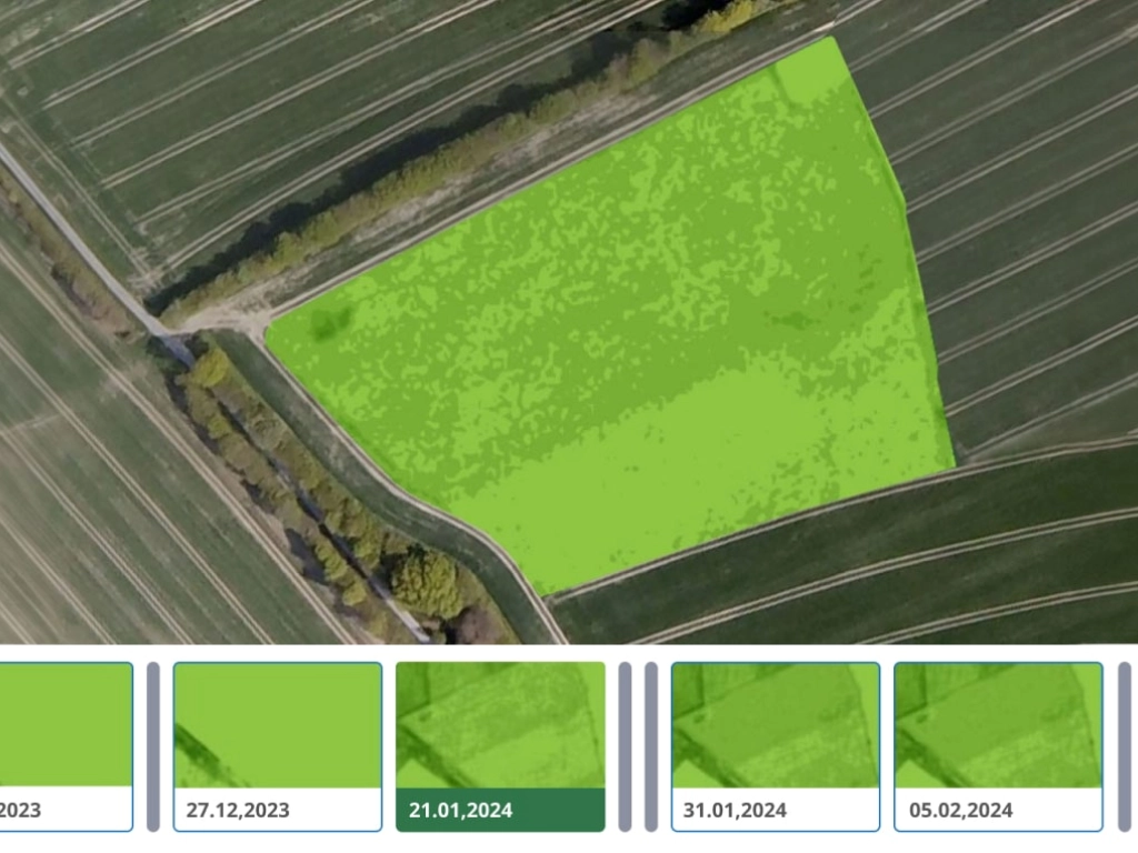 AtFarm